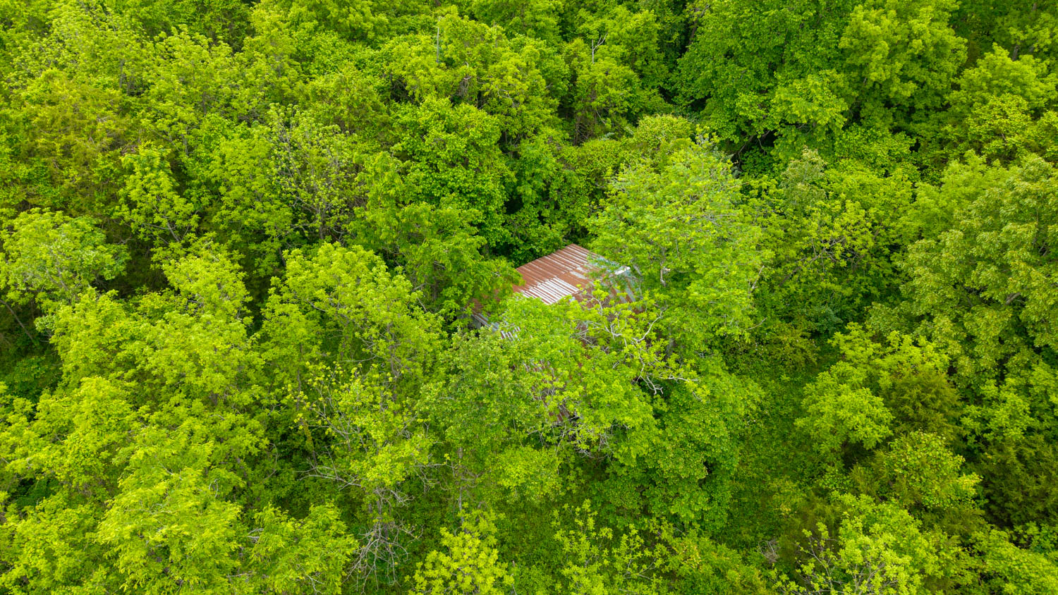 Hobby Farm for sale in Oregon County