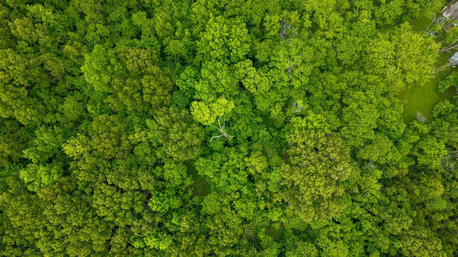 Hobby Farm for sale in Oregon County