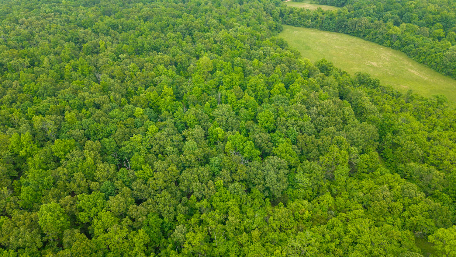 Hobby Farm for sale in Oregon County