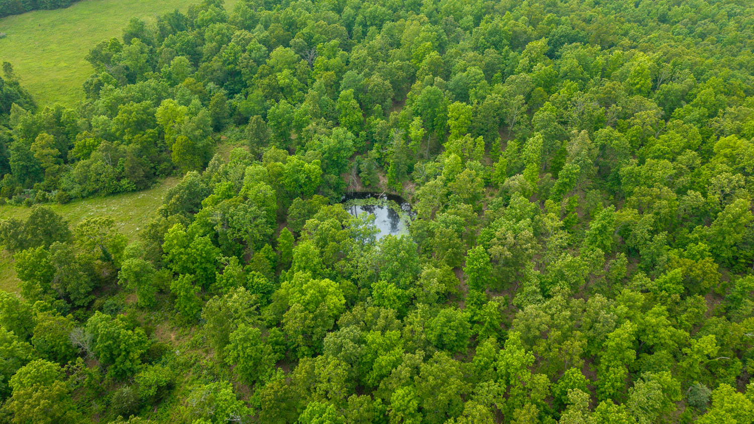 Hobby Farm for sale in Oregon County