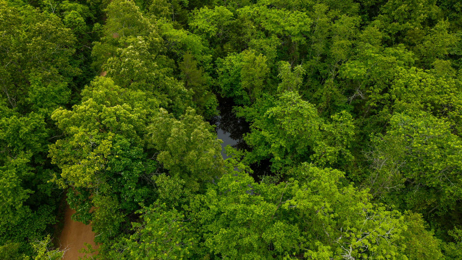 Hobby Farm for sale in Oregon County
