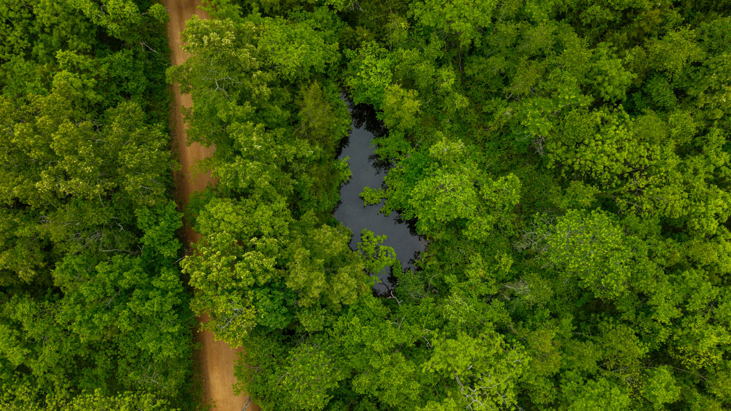 Hobby Farm for sale in Oregon County