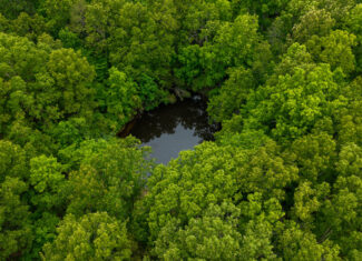 Hobby Farm for sale in Oregon County