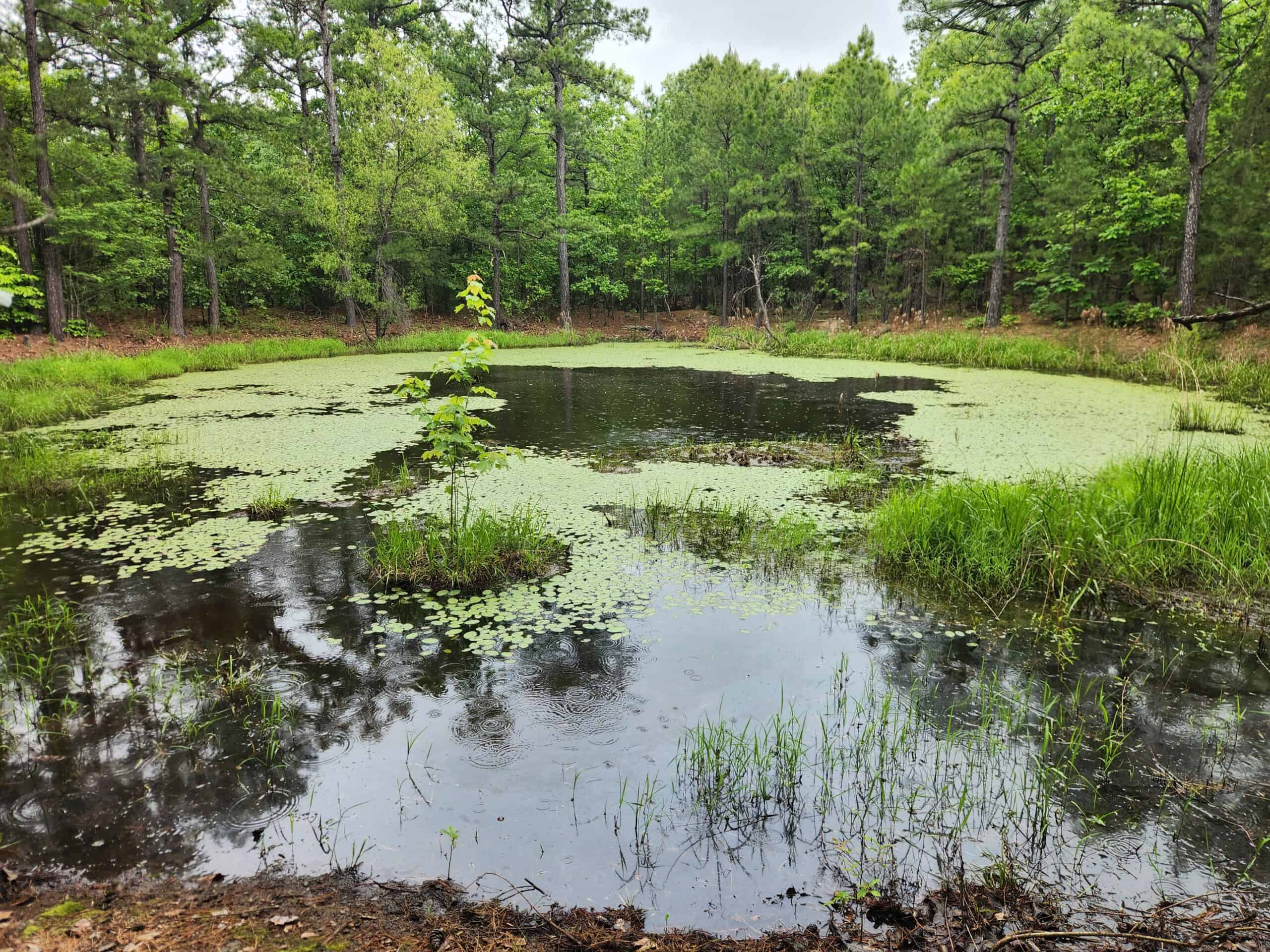 40 Acres – Off-Grid Mountain Getaway in Bengal, Oklahoma