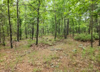 40 Acres – Off-Grid Mountain Getaway in Bengal, Oklahoma