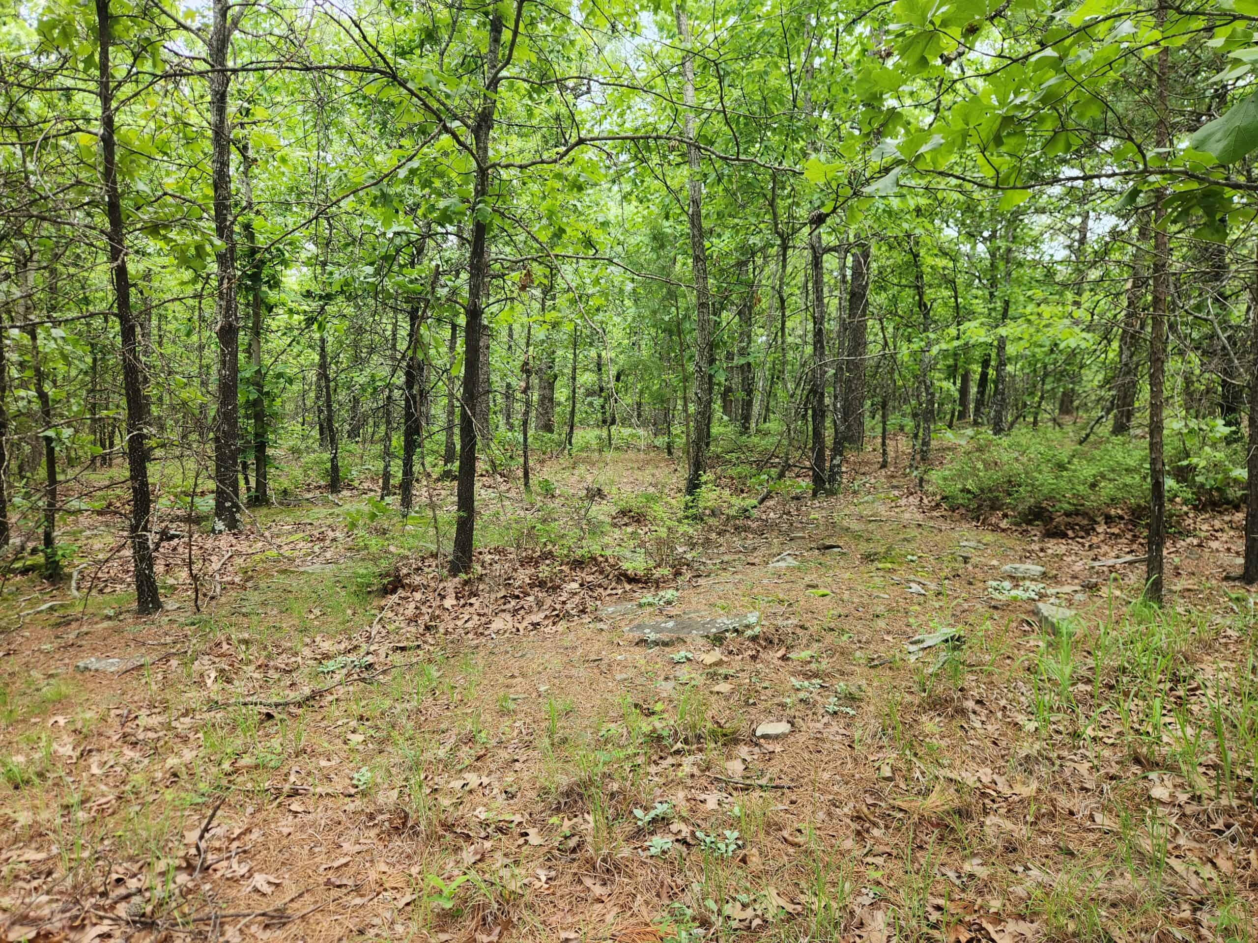 40 Acres – Off-Grid Mountain Getaway in Bengal, Oklahoma
