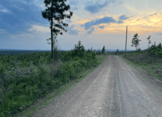 40 acres mol located just off of Wild Horse Trail in McCurtain, County, OK