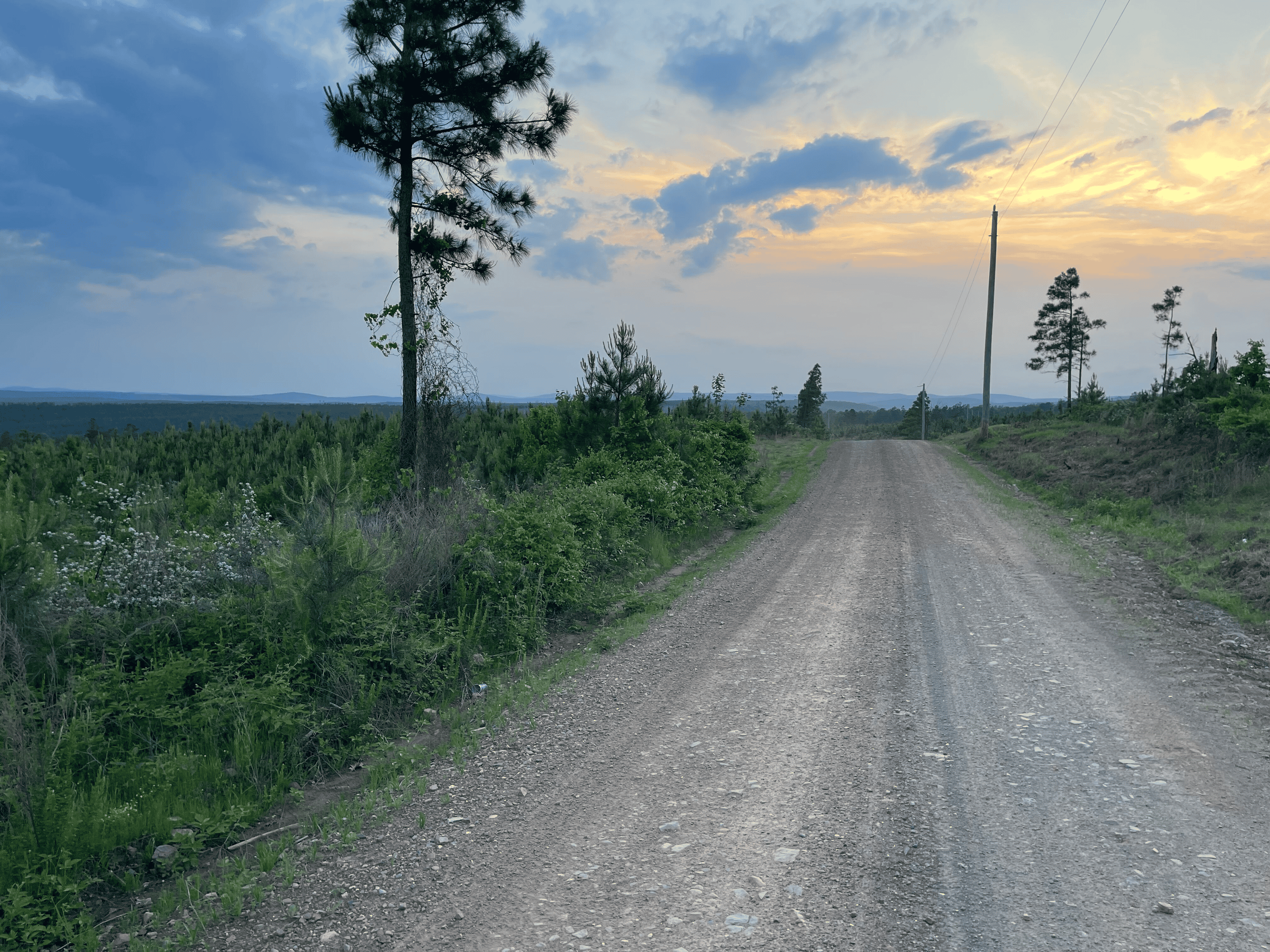 40 acres mol located just off of Wild Horse Trail in McCurtain, County, OK