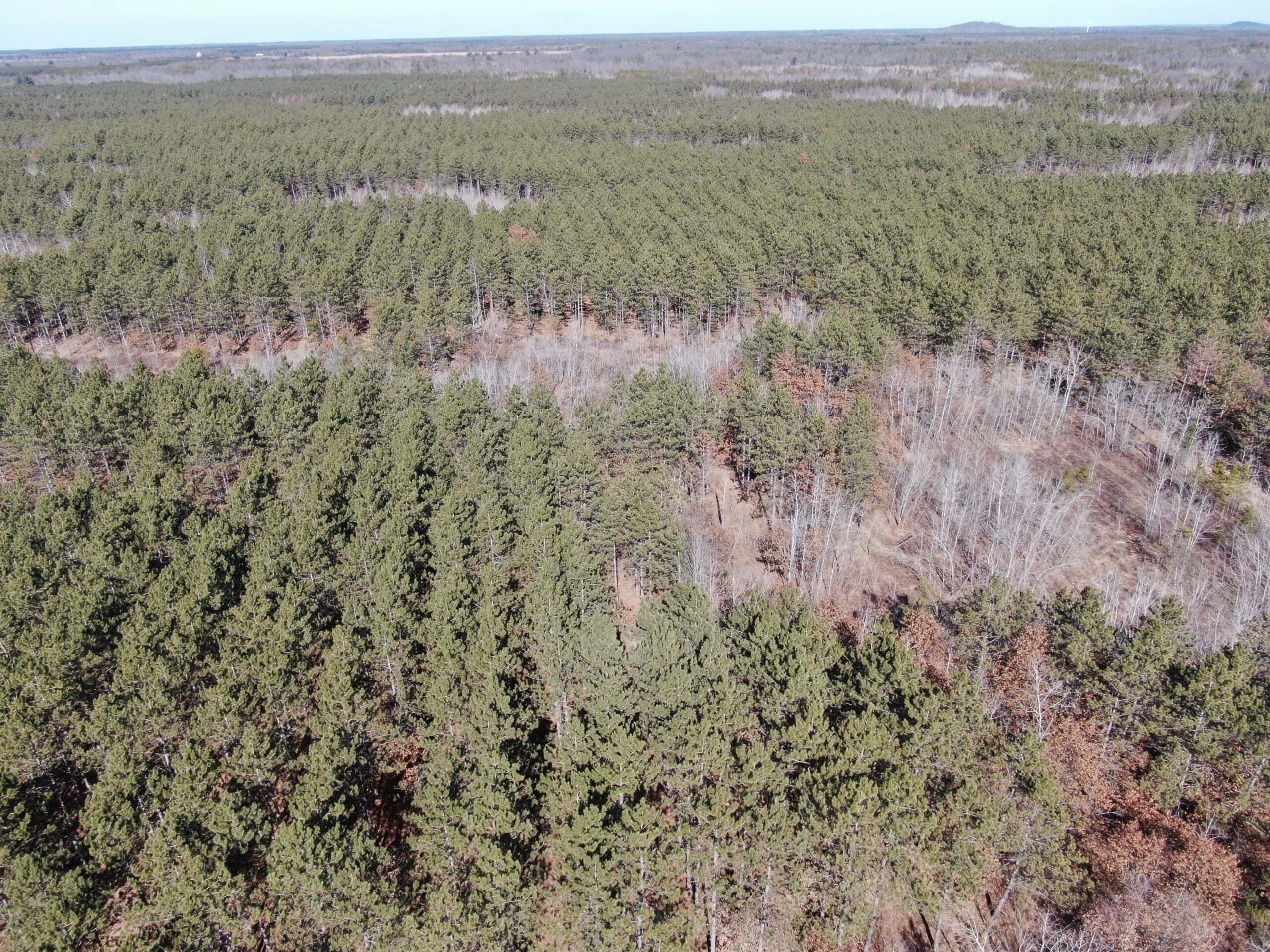 Juneau County WI 200-Acre Tract of Land