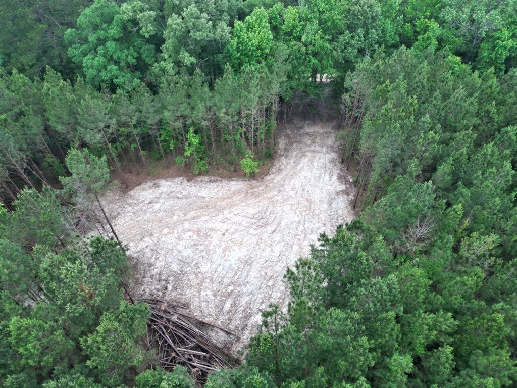 Secluded Land for Sale in Roxie – MS Hamburg Community Lot