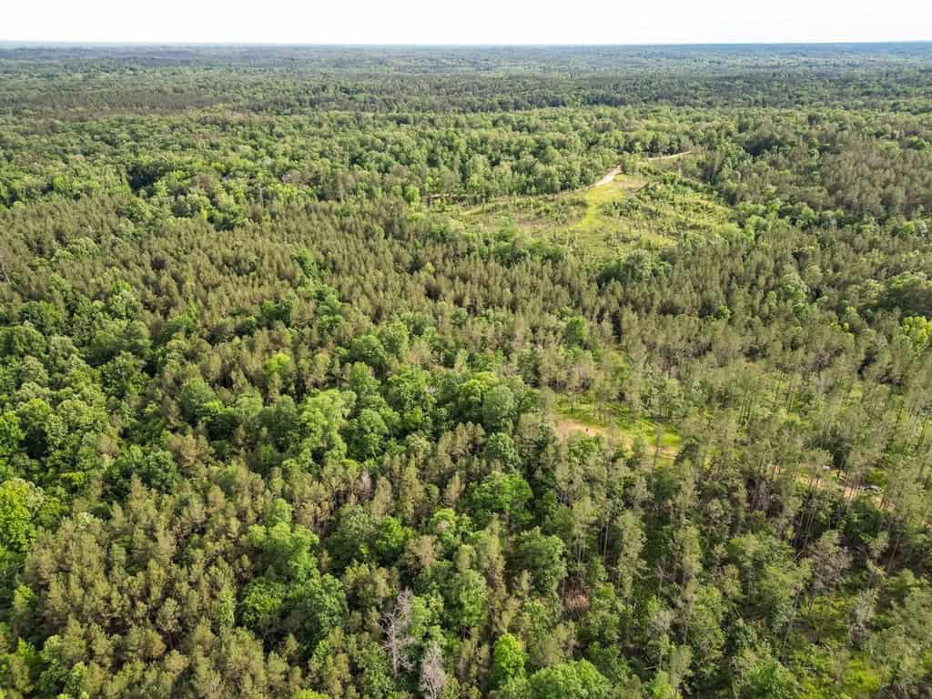 586 Hunting Land in the Catahoula Hills with Creek