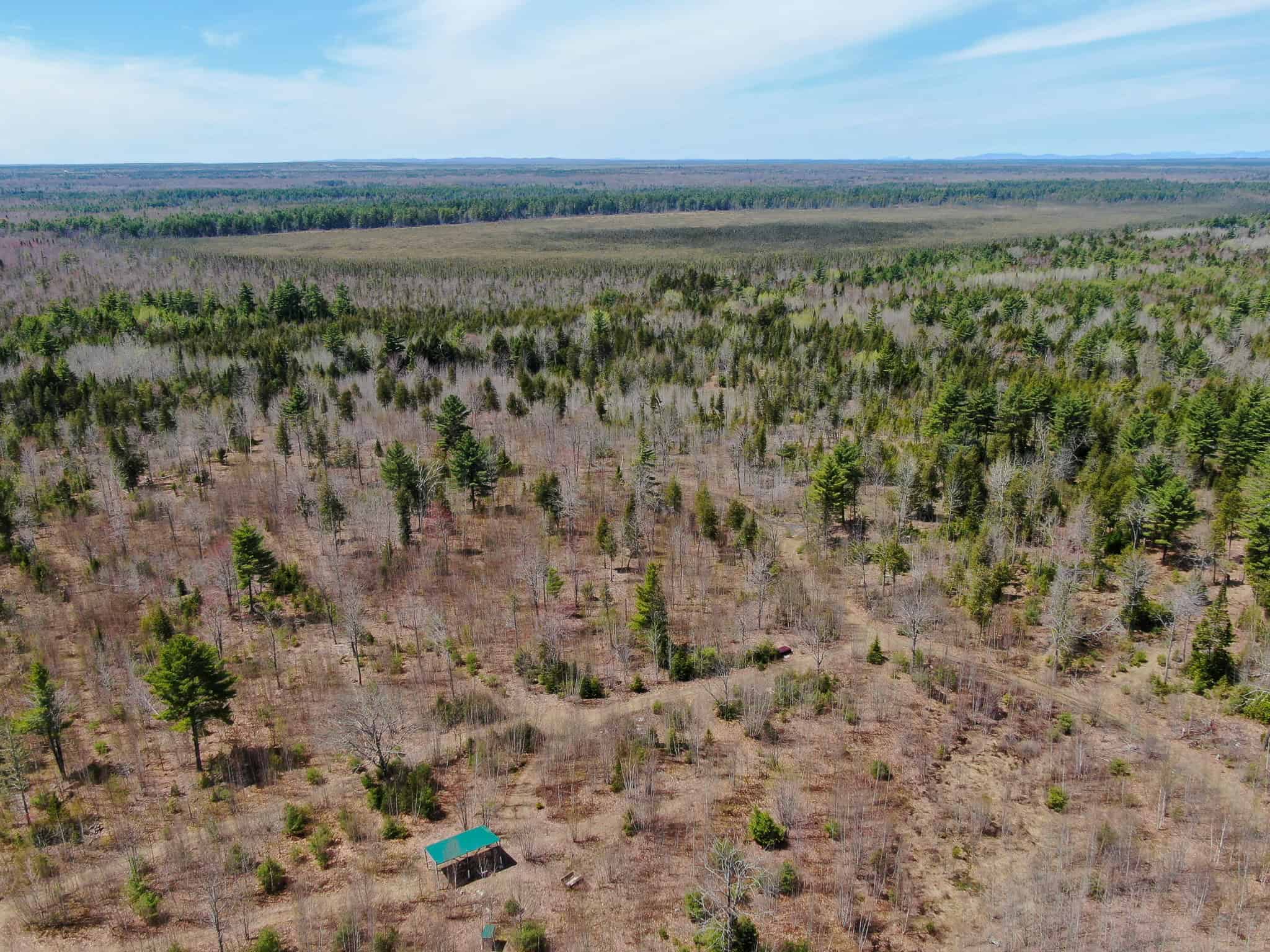 Off-Grid Log Cabin Retreat on 65± Acres