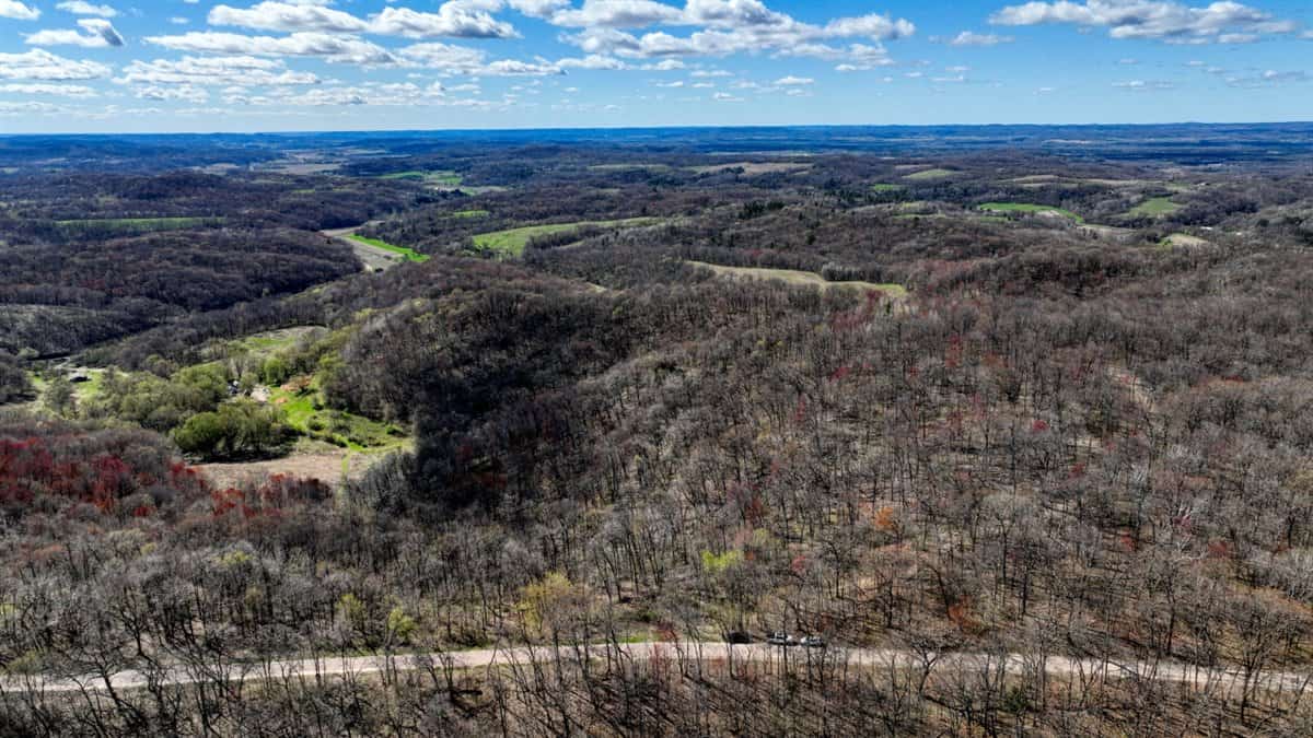 Premium 32+/- Acre Parcel in La Crosse County WI