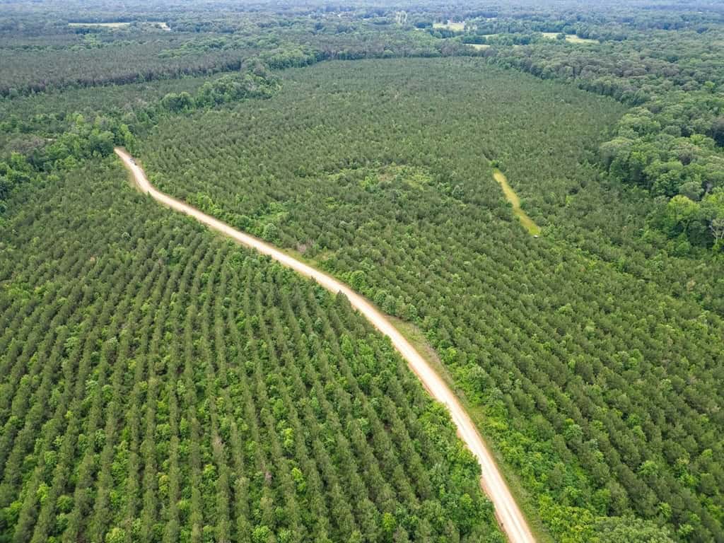 Hunting Land in Mousehouse Parish Near Bastrop, LA