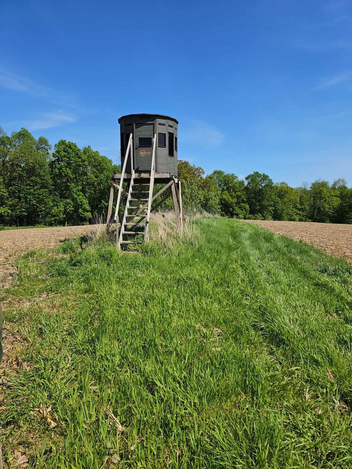 65-acre trophy whitetail and turkey hotspot