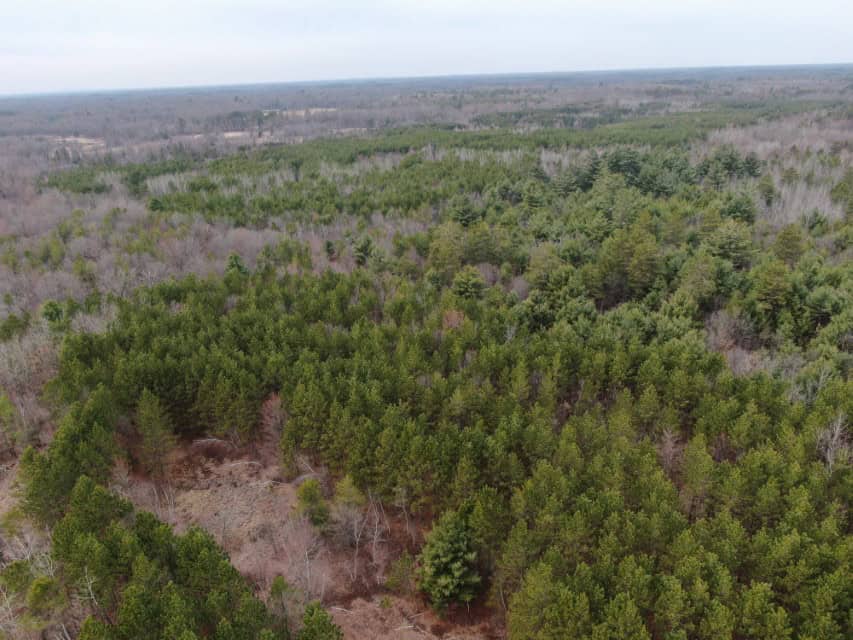 103± acre timber tract in Juneau County’s Town of Necedah