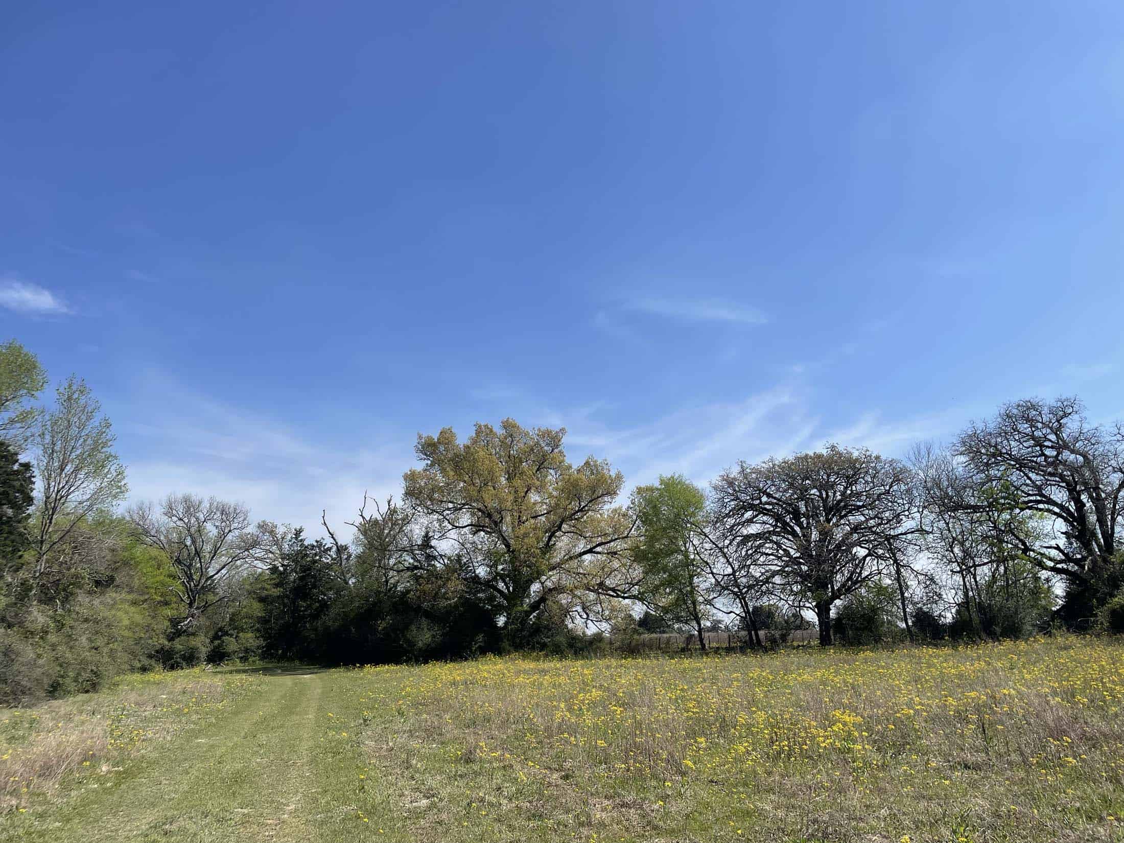 Recreational Ranch North of Houston near Grapeland TX