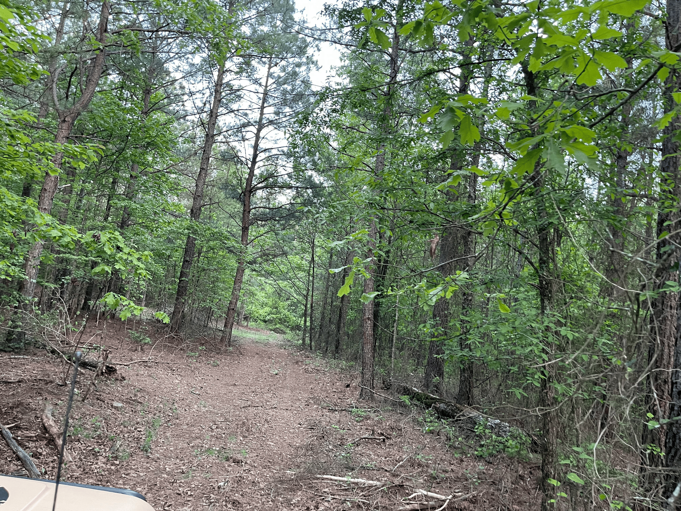 40 acres mol located just off of Wild Horse Trail in McCurtain, County, OK