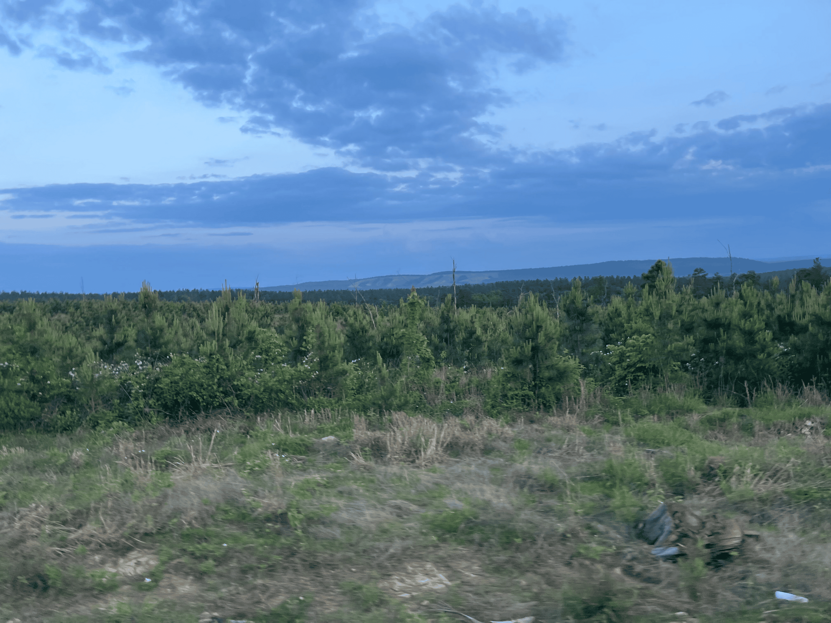 40 acres mol located just off of Wild Horse Trail in McCurtain, County, OK