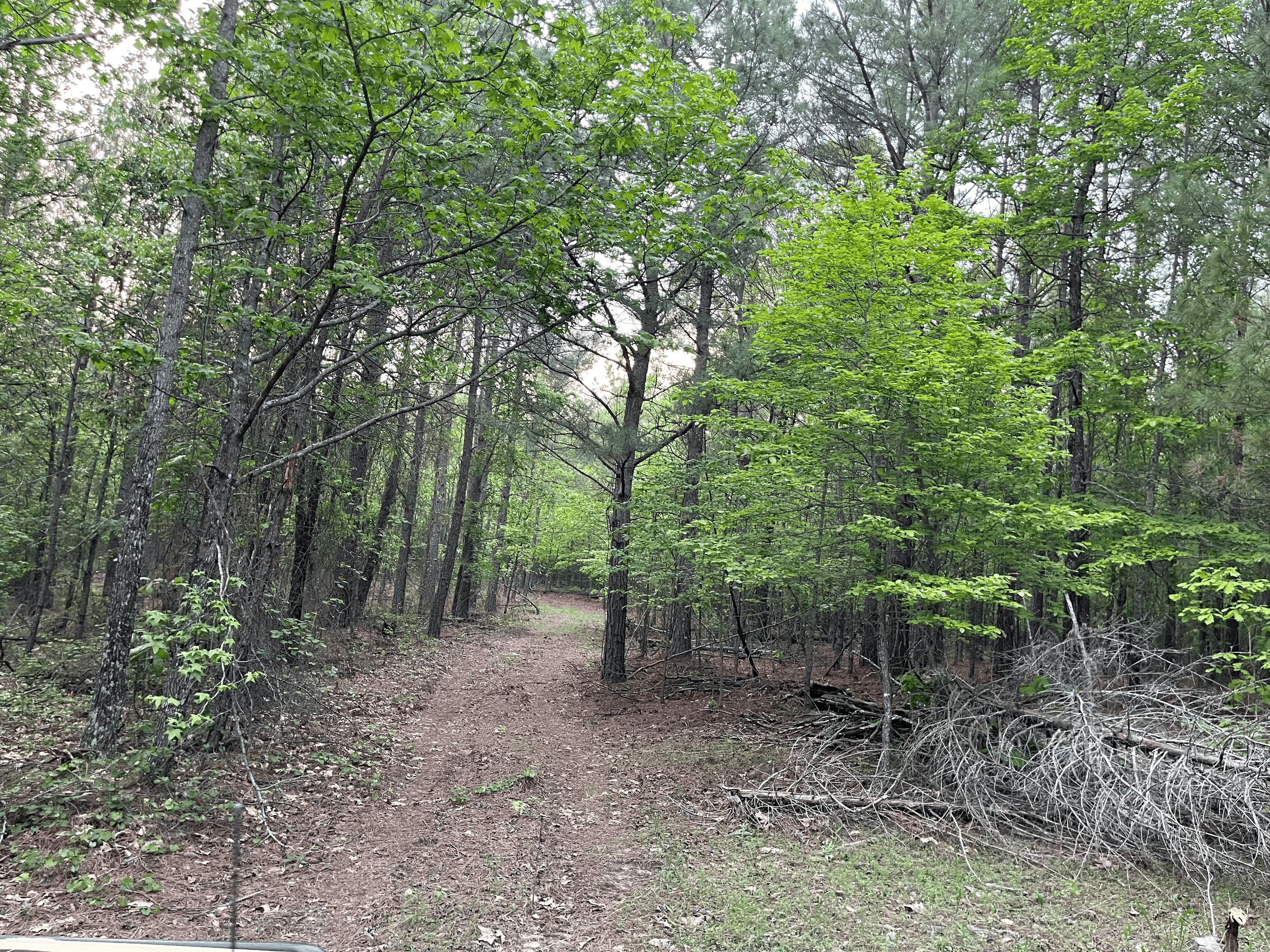 40 acres mol located just off of Wild Horse Trail in McCurtain, County, OK
