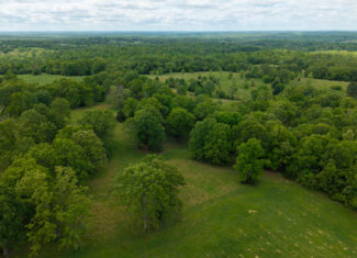 BEAUTIFUL FARM FOR SALE IN THE OZARKS