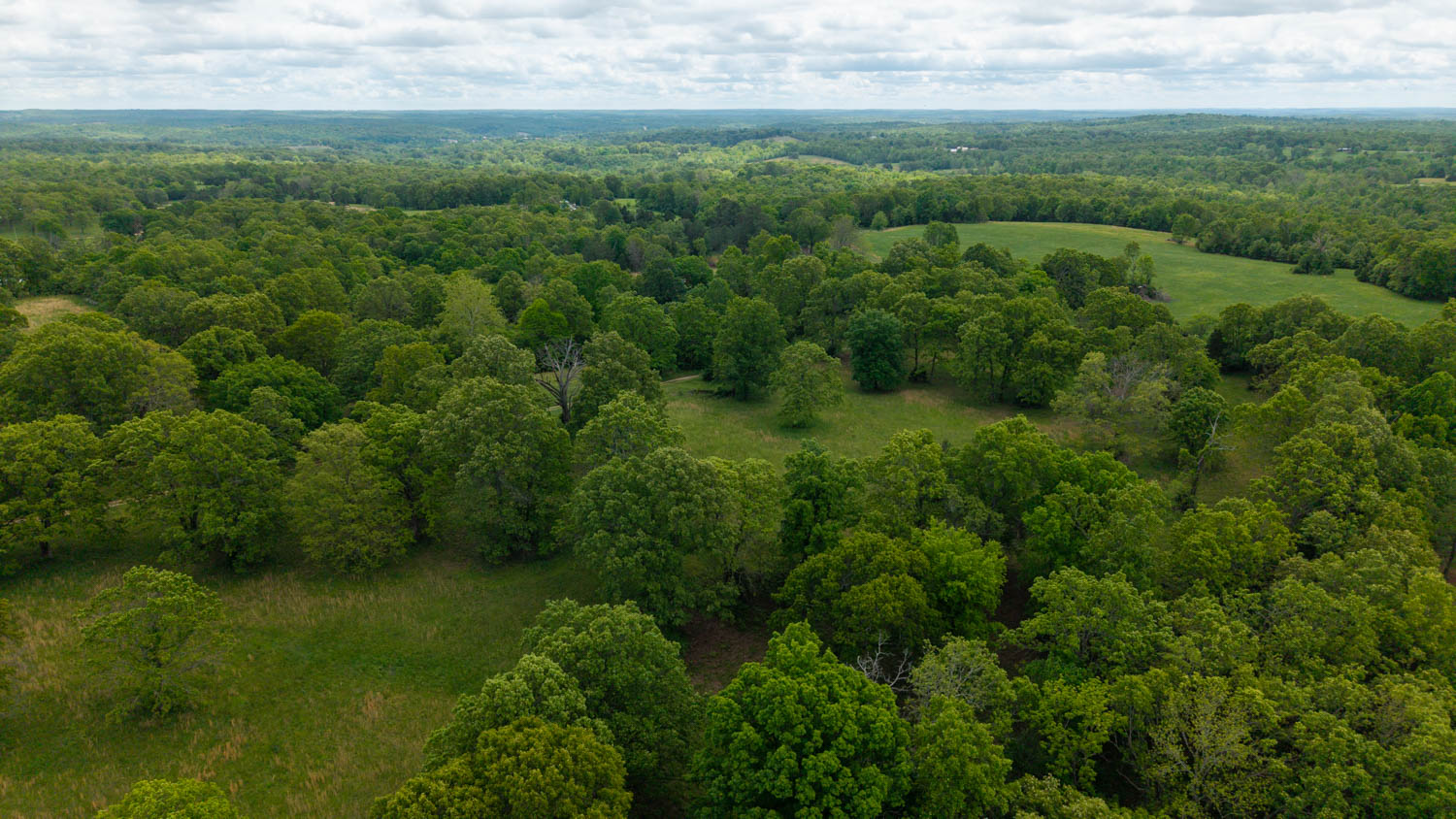 BEAUTIFUL FARM FOR SALE IN THE OZARKS