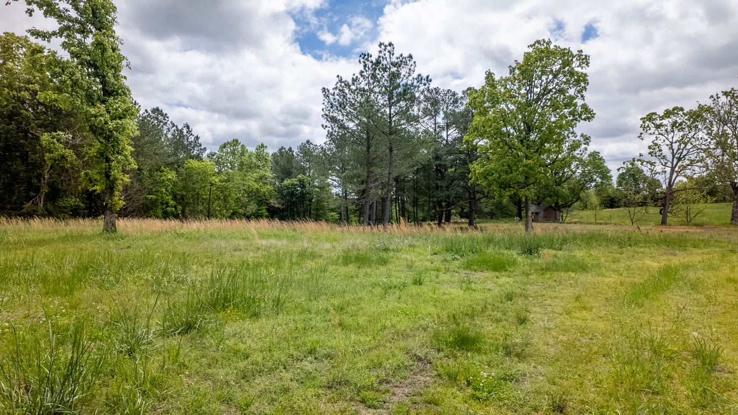BEAUTIFUL FARM FOR SALE IN THE OZARKS