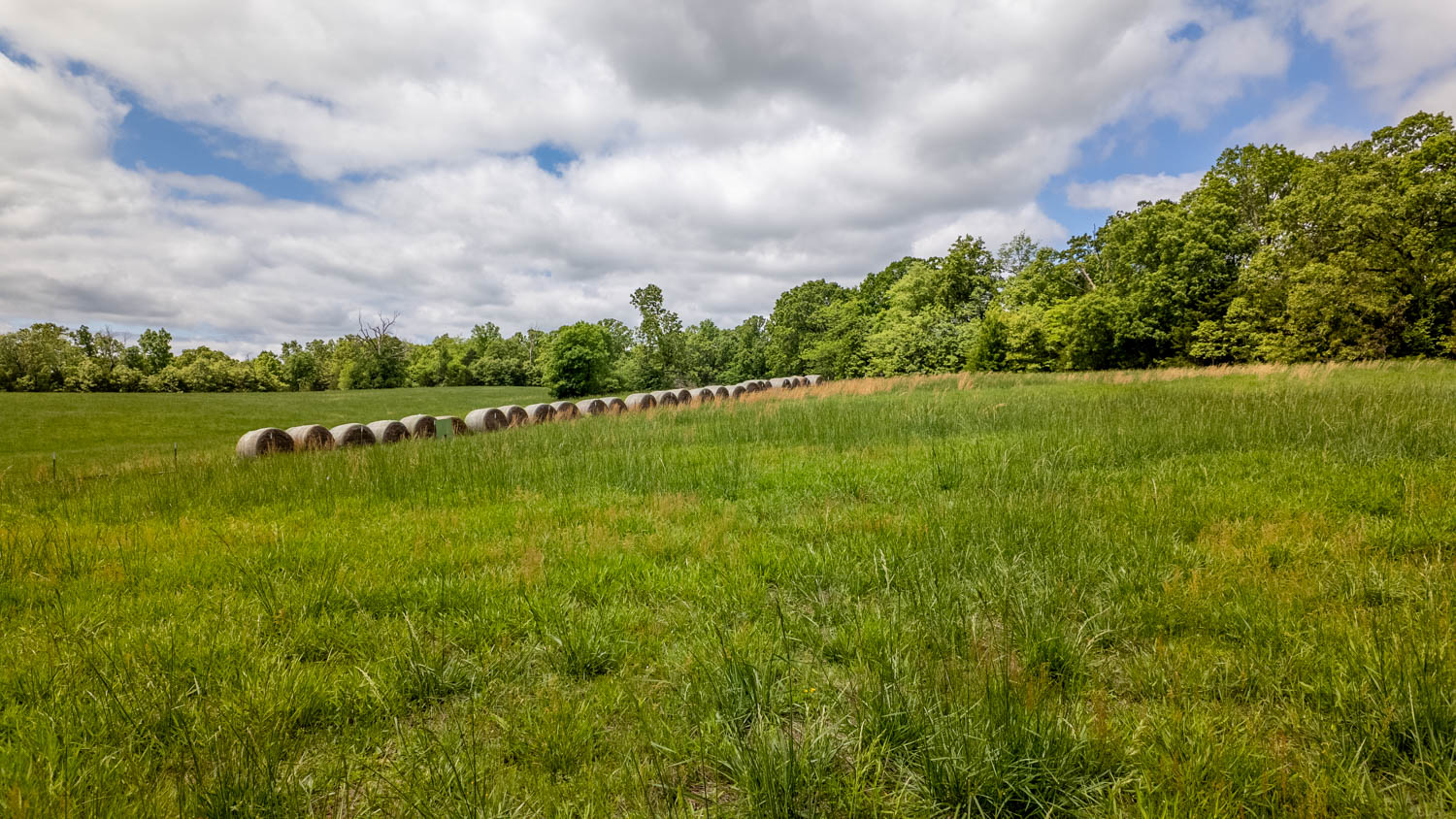 BEAUTIFUL FARM FOR SALE IN THE OZARKS