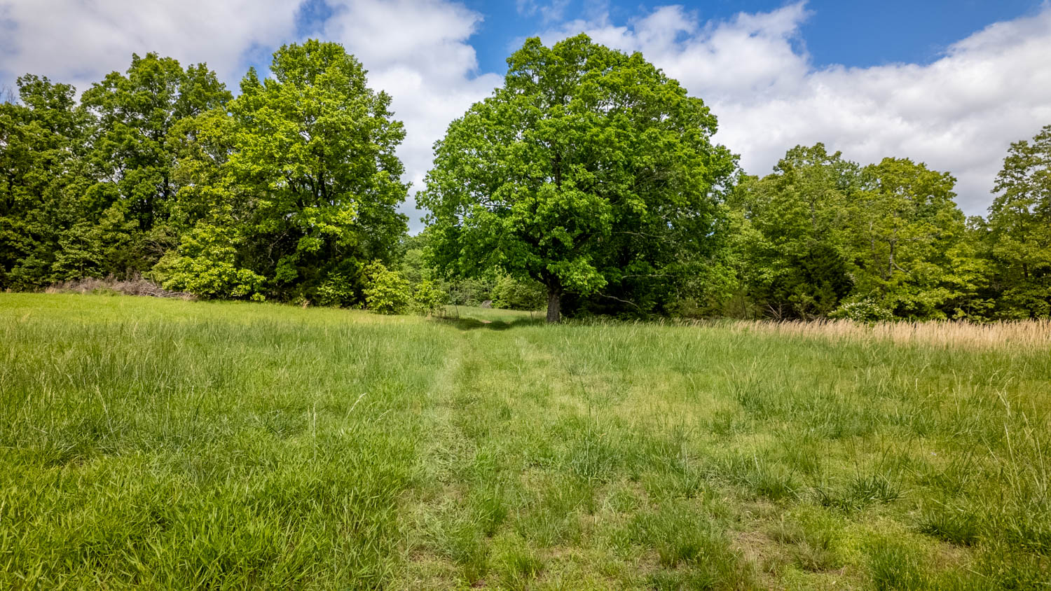 BEAUTIFUL FARM FOR SALE IN THE OZARKS