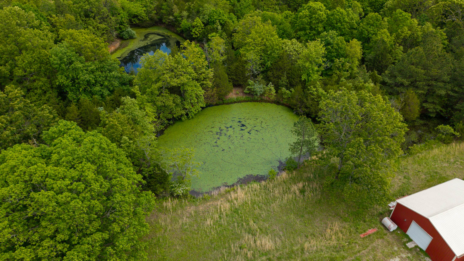 BEAUTIFUL FARM FOR SALE IN THE OZARKS