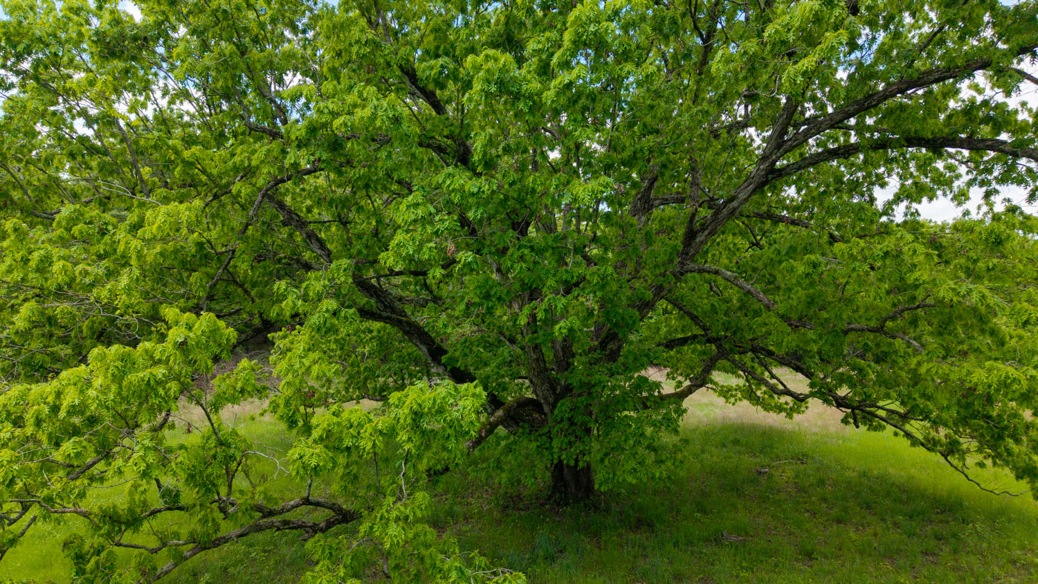 BEAUTIFUL FARM FOR SALE IN THE OZARKS
