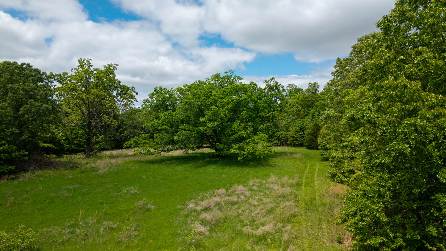 BEAUTIFUL FARM FOR SALE IN THE OZARKS