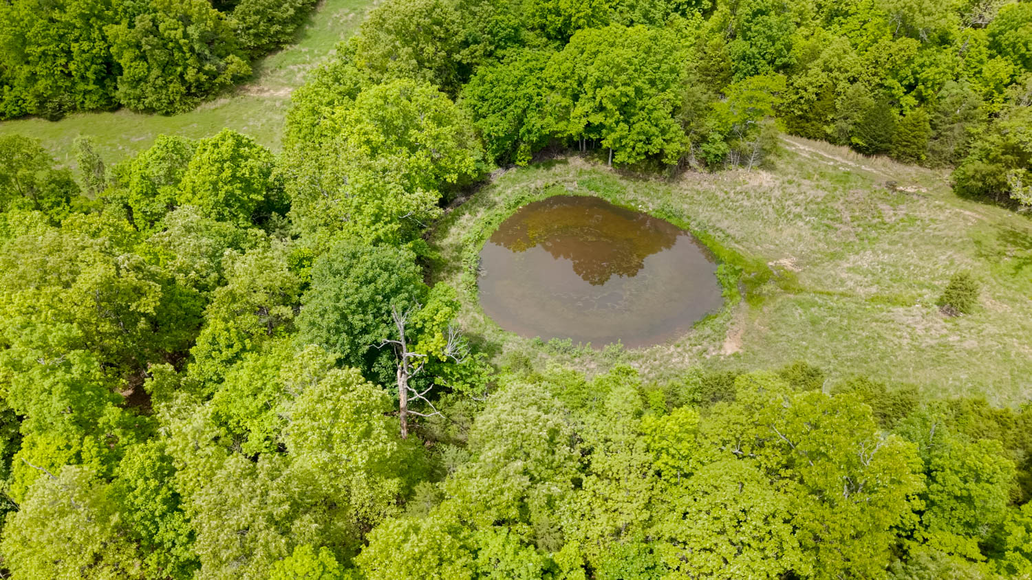 BEAUTIFUL FARM FOR SALE IN THE OZARKS
