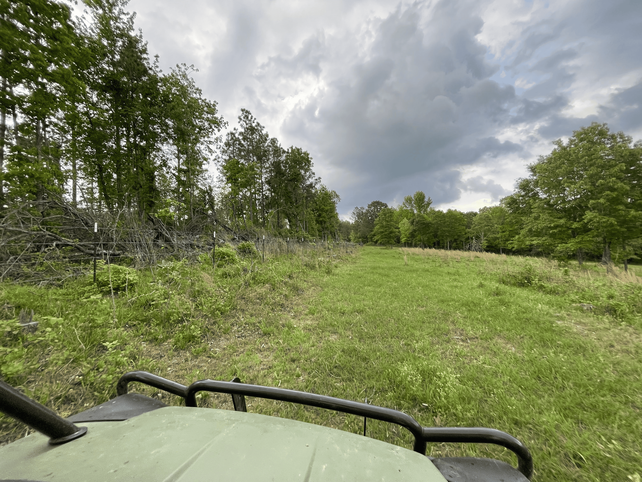 Secluded 100 Acre Mol Ranch in McCurtain County OK