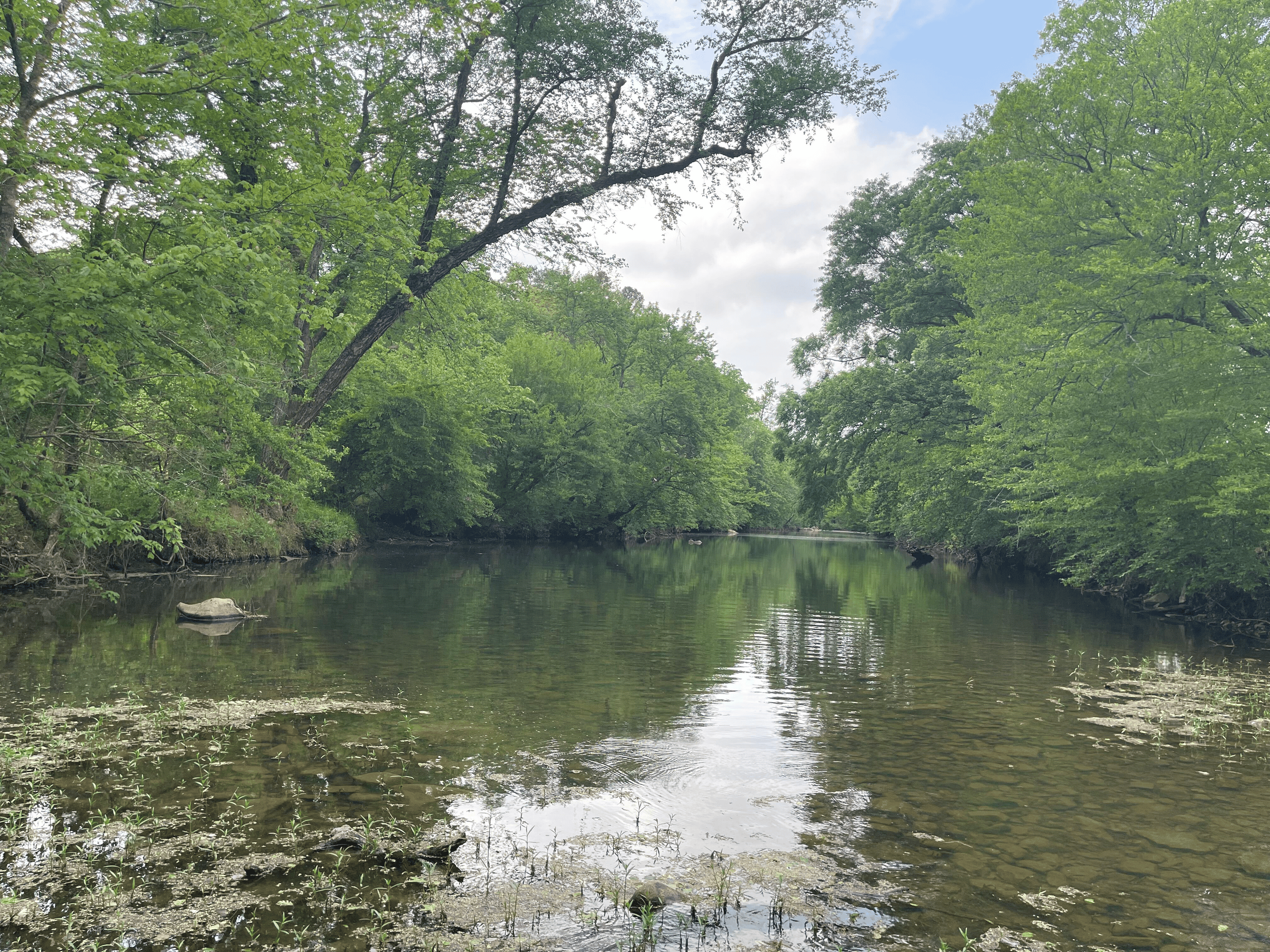 Secluded 100 Acre Mol Ranch in McCurtain County OK