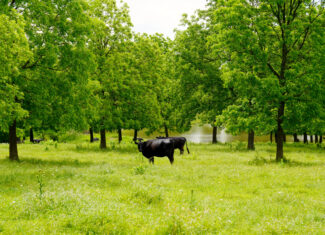 Central Oklahoma Ranch For Sale, Lincoln County