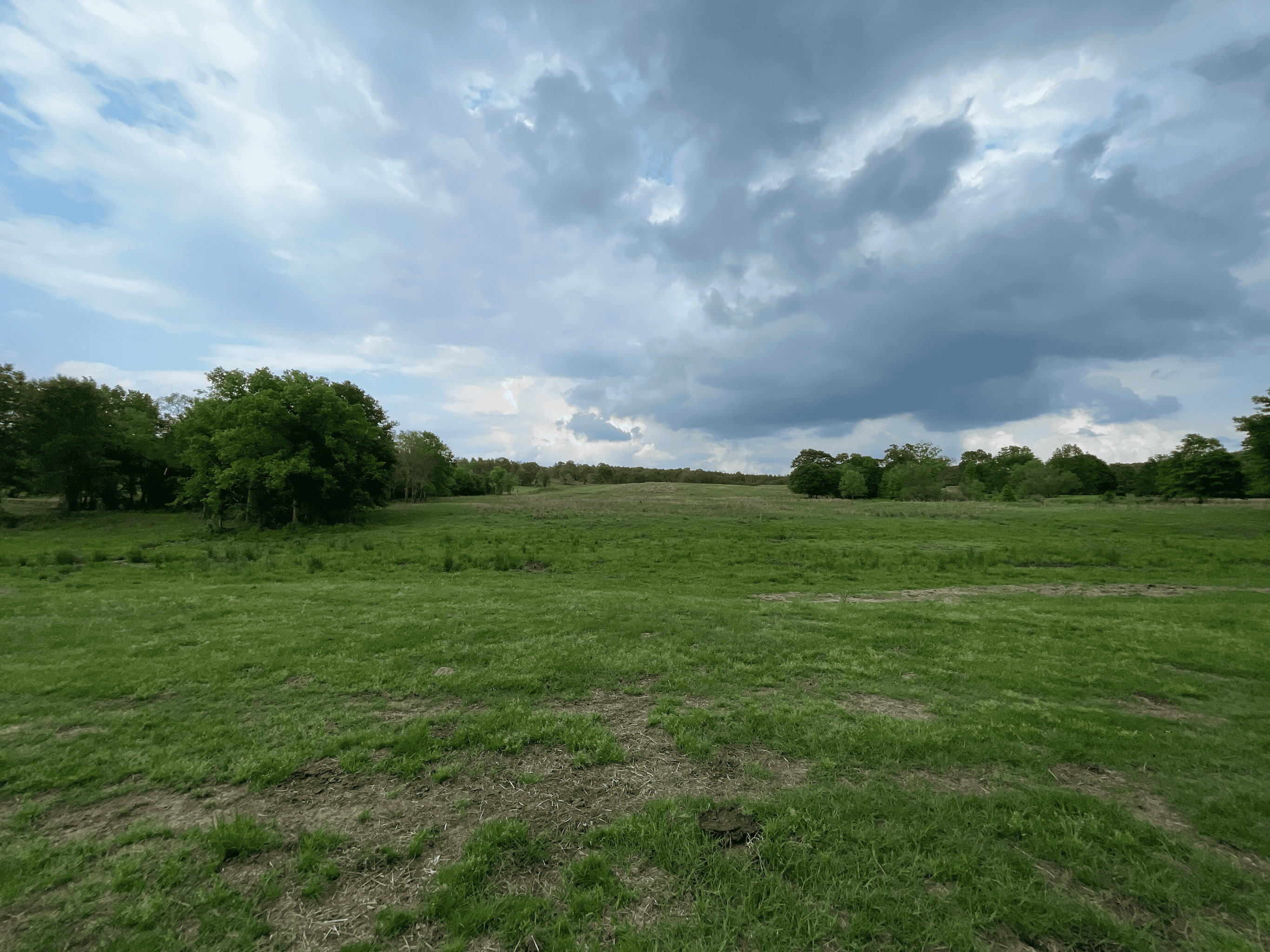 Secluded 100 Acre Mol Ranch in McCurtain County OK