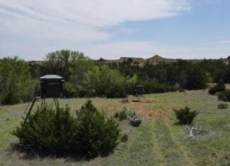 315± Acres | Barber County, KS | Trophy Whitetail Hunting | Red Hills Views