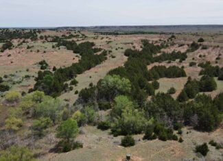 315± Acres | Barber County, KS | Trophy Whitetail Hunting | Red Hills Views