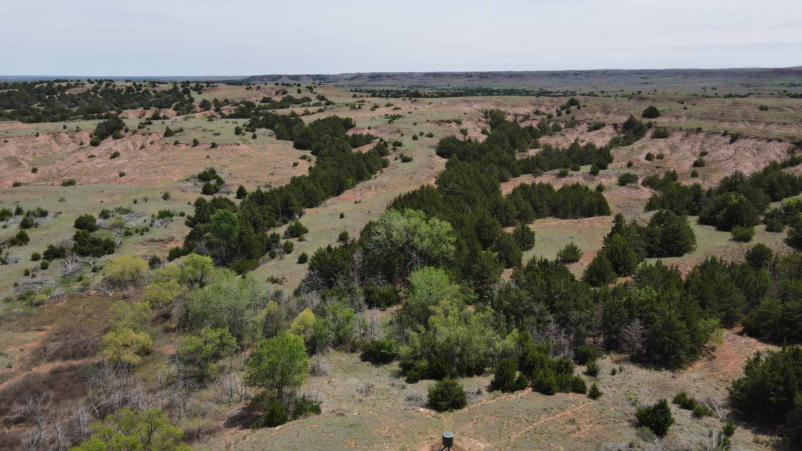 315± Acres | Barber County, KS | Trophy Whitetail Hunting | Red Hills Views
