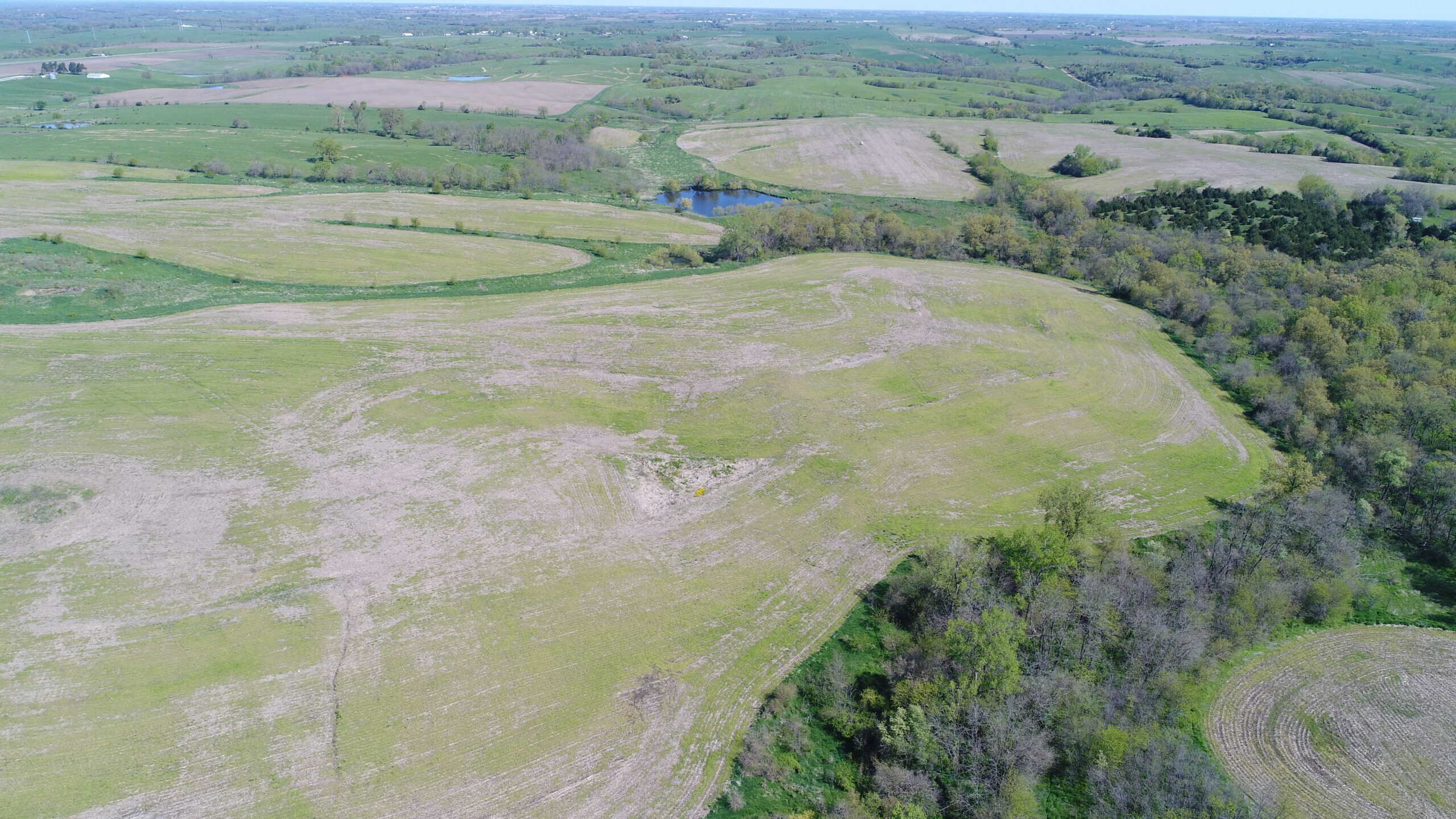 Prime 141 Acre Property in Schuyler County, MO