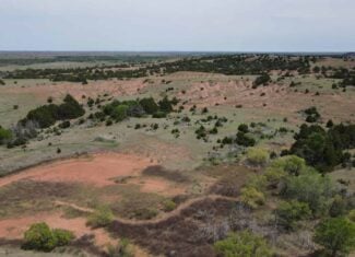 315± Acres | Barber County, KS | Trophy Whitetail Hunting | Red Hills Views