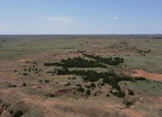 315± Acres | Barber County, KS | Trophy Whitetail Hunting | Red Hills Views