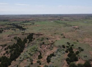 315± Acres | Barber County, KS | Trophy Whitetail Hunting | Red Hills Views