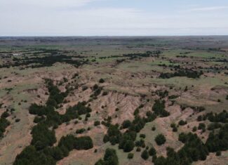 315± Acres | Barber County, KS | Trophy Whitetail Hunting | Red Hills Views