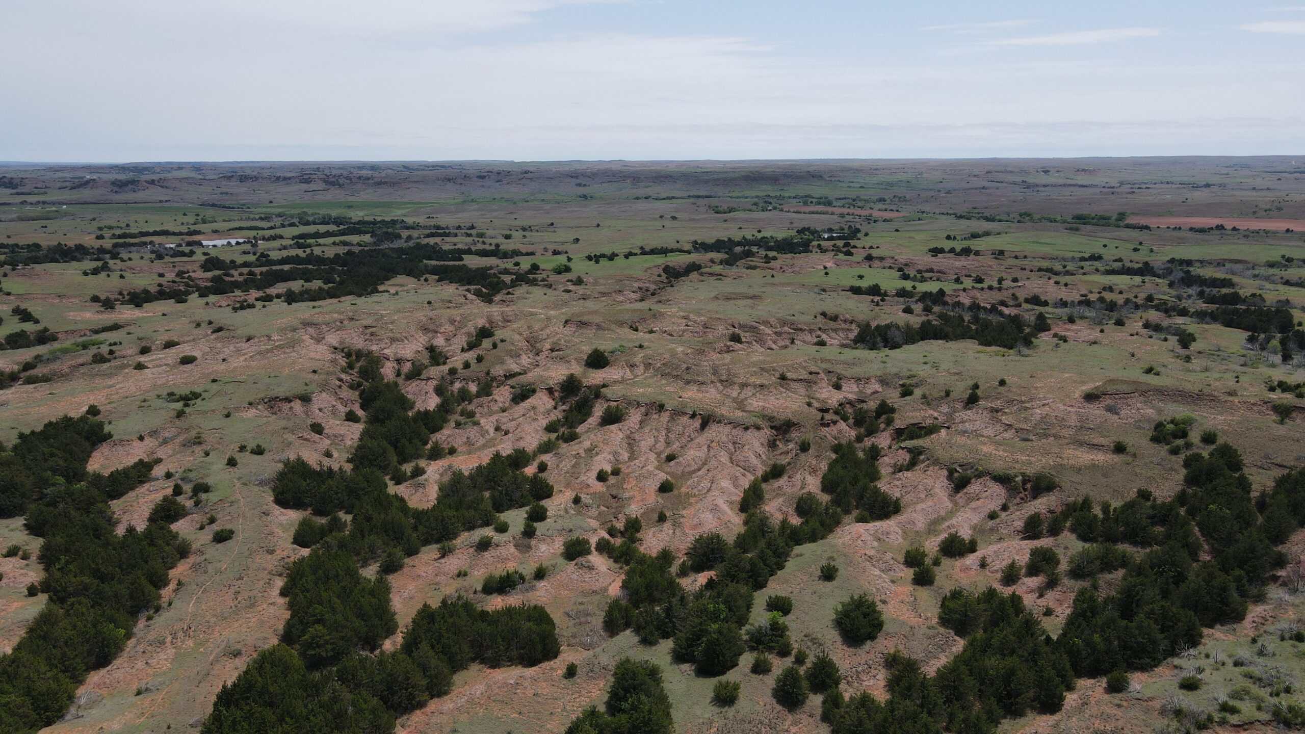 315± Acres | Barber County, KS | Trophy Whitetail Hunting | Red Hills Views