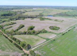Prime 141 Acre Property in Schuyler County, MO