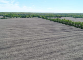 Prime Hunting and Investment Property in Schuyler County MO