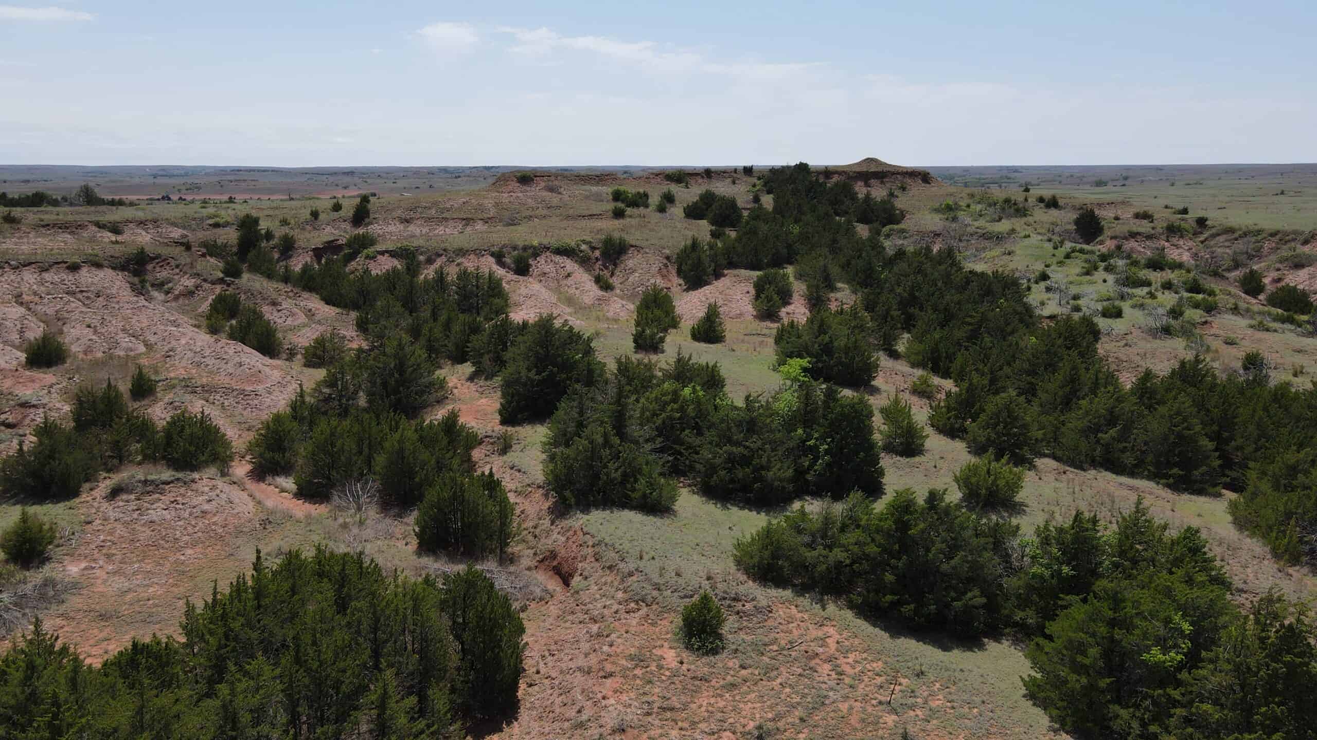 315± Acres | Barber County, KS | Trophy Whitetail Hunting | Red Hills Views