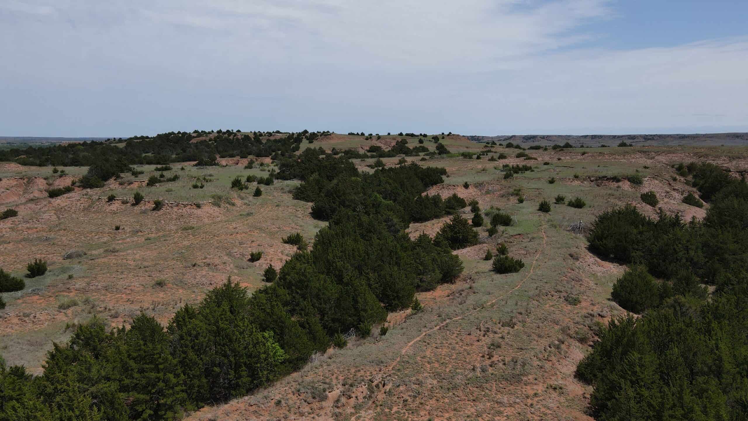 315± Acres | Barber County, KS | Trophy Whitetail Hunting | Red Hills Views